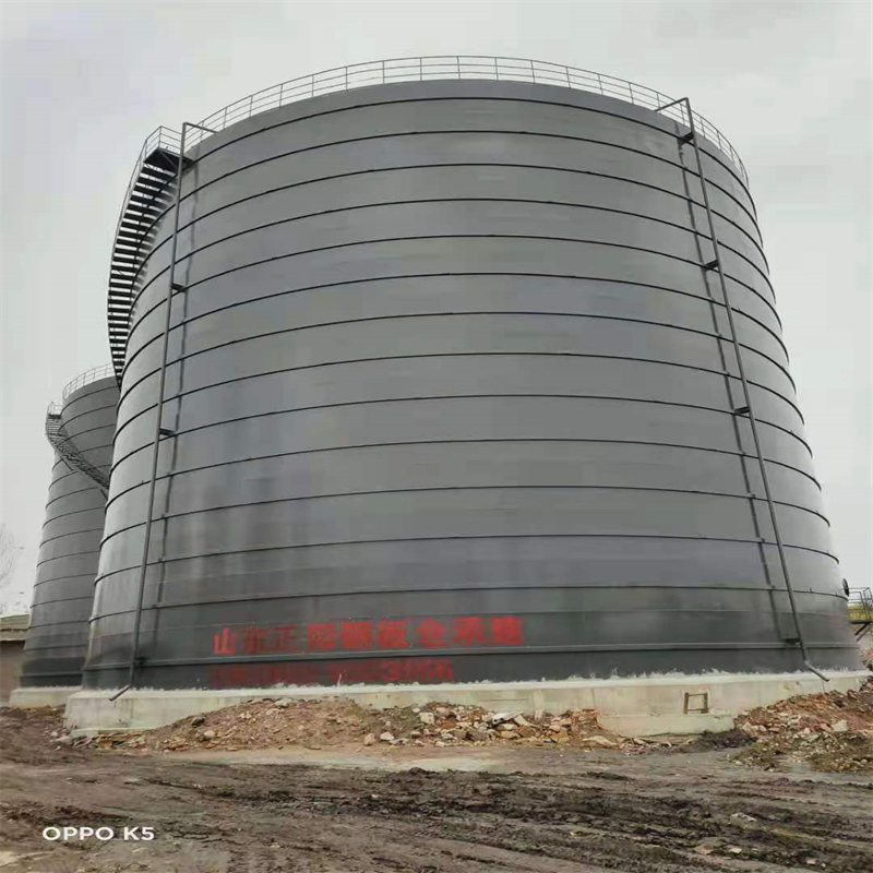 西充3万吨大型钢板库